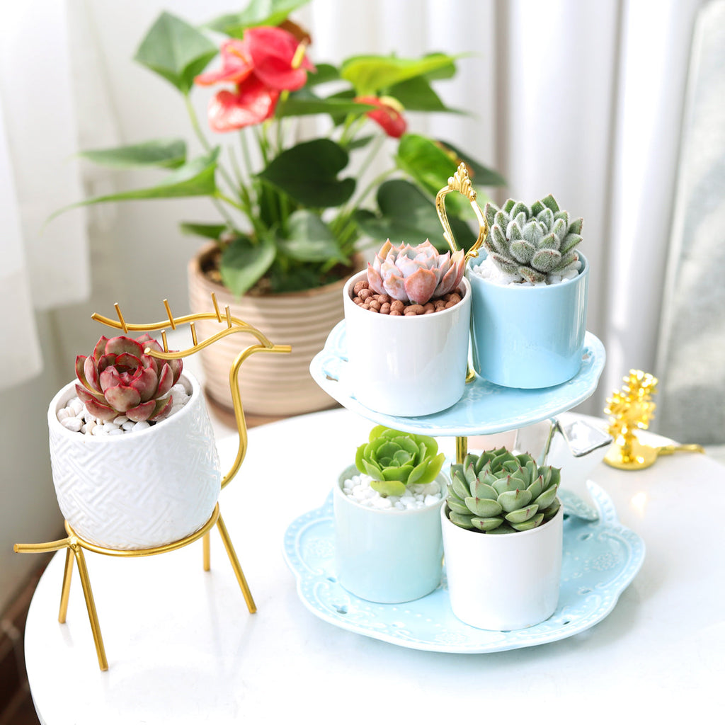 2in White Modern Cylinder Pot
