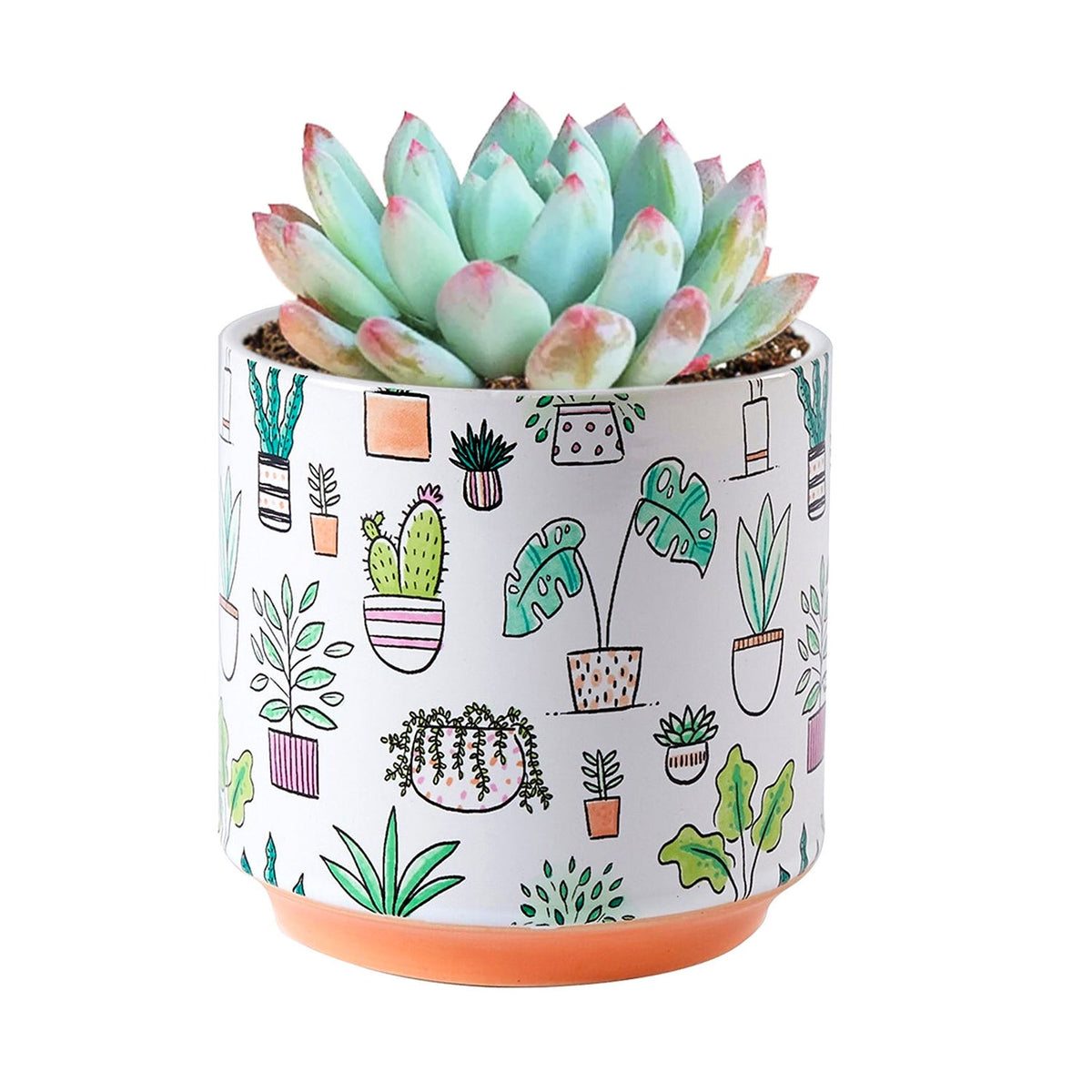 Houseplant Pattern Pot