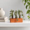 Terrazzo 3-Tube Propagation Stand