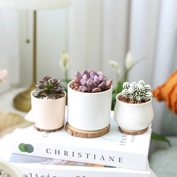 2in White Modern Cylinder Pot