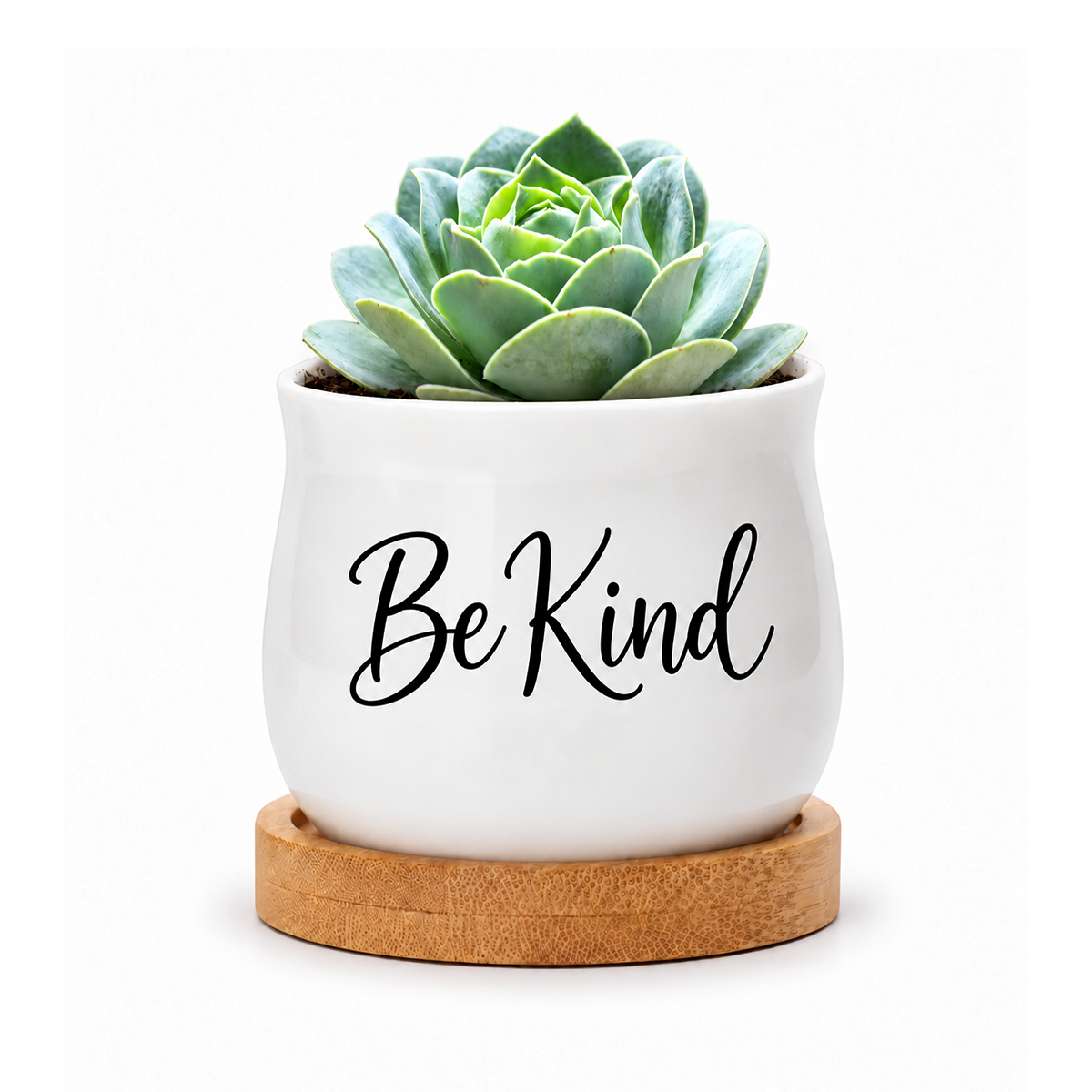 Succulent Pot - Be Kind