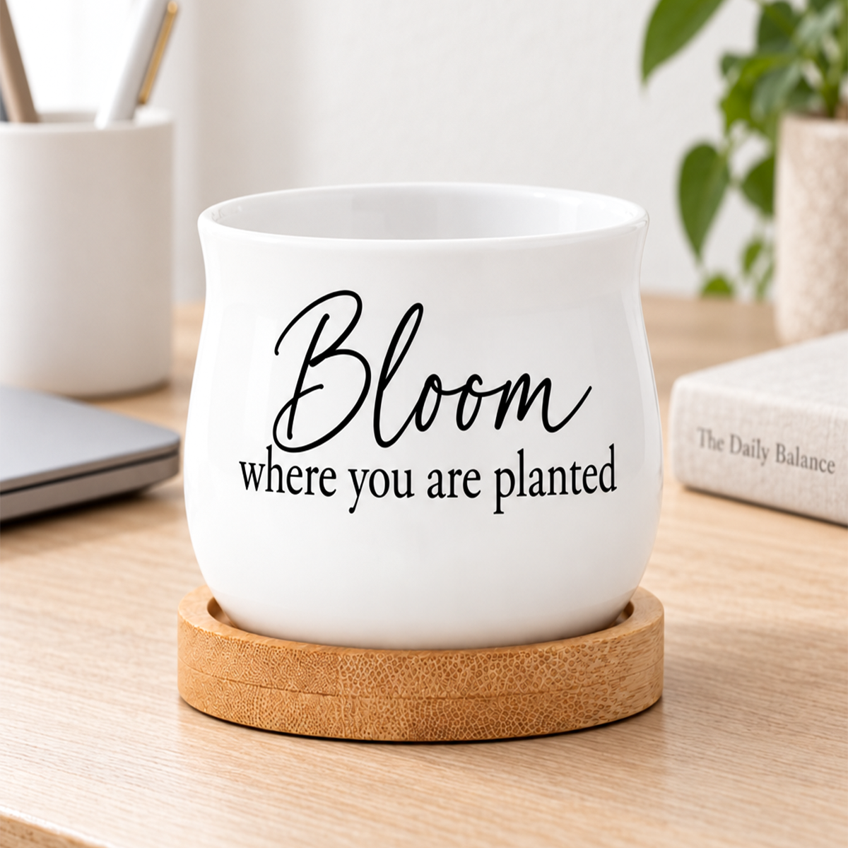 Succulent Pot - Bloom where you are planted