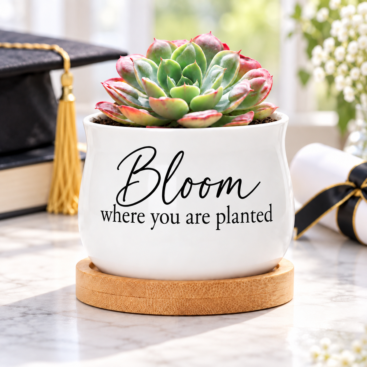Succulent Pot - Bloom where you are planted