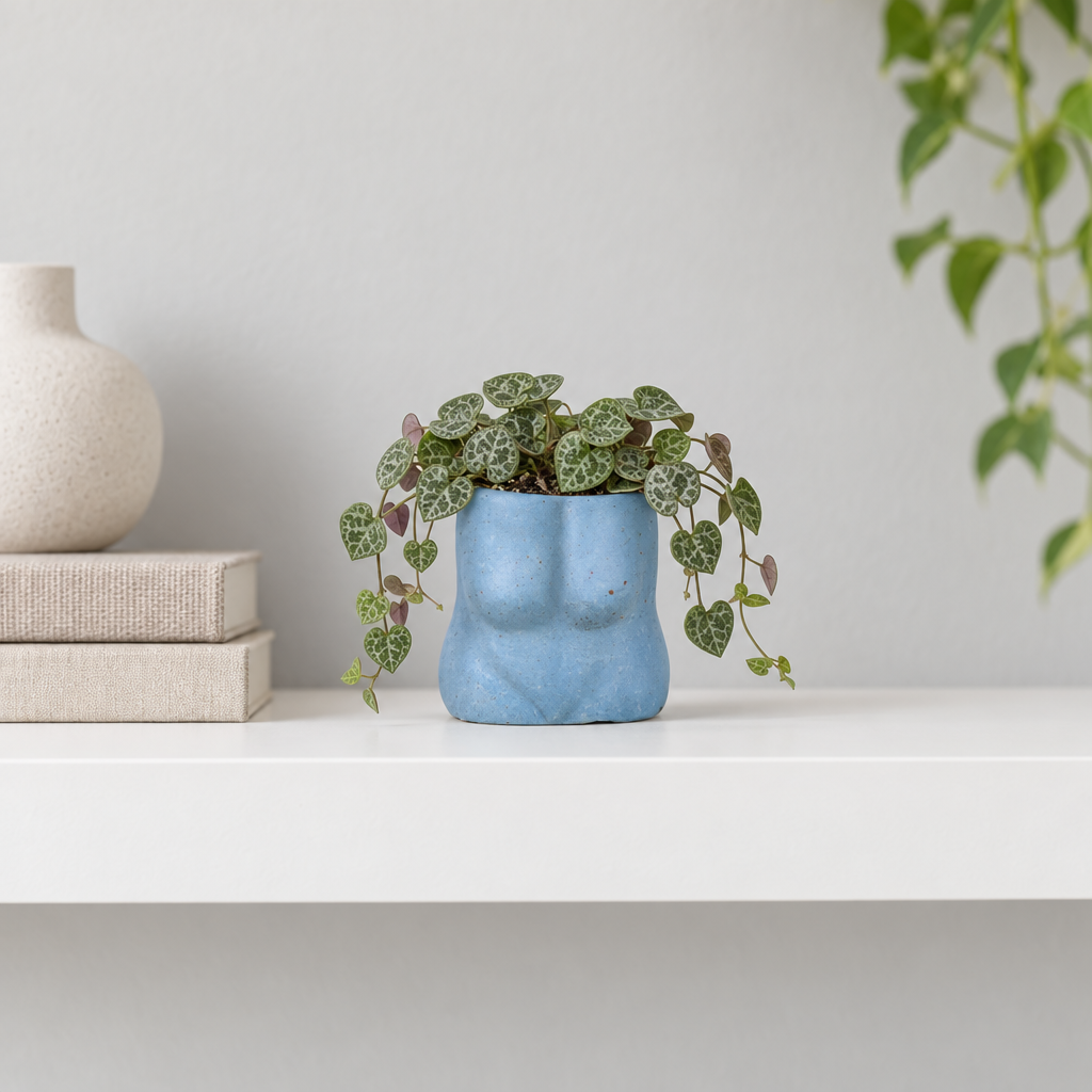 Boobie Airplant Holder