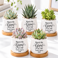 Pack of Personalized Succulent Pot for Corporate Favor - Watch me grow