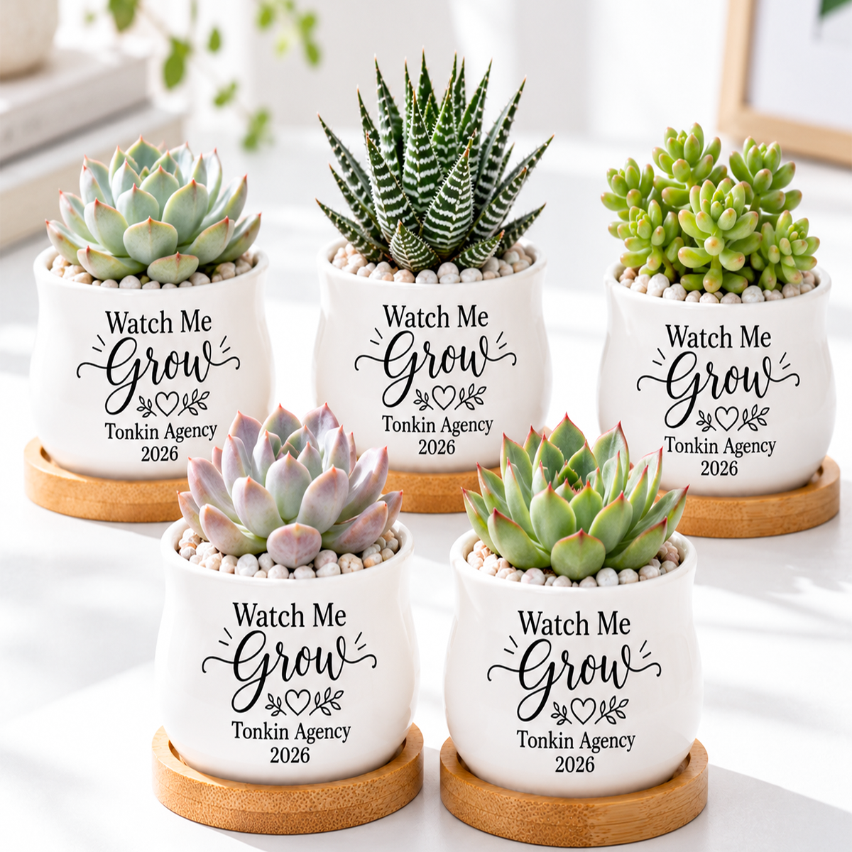 Pack of Personalized Succulent Pot for Corporate Favor - Watch me grow