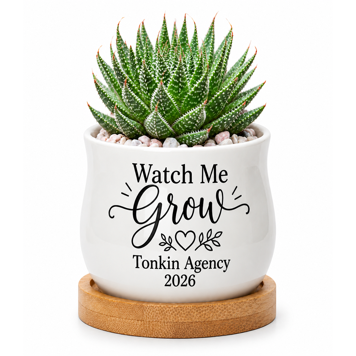 Personalized Succulent Pot for Corporate Favor - Watch me grow