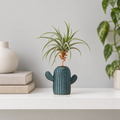 Cactus Air Plant Stand