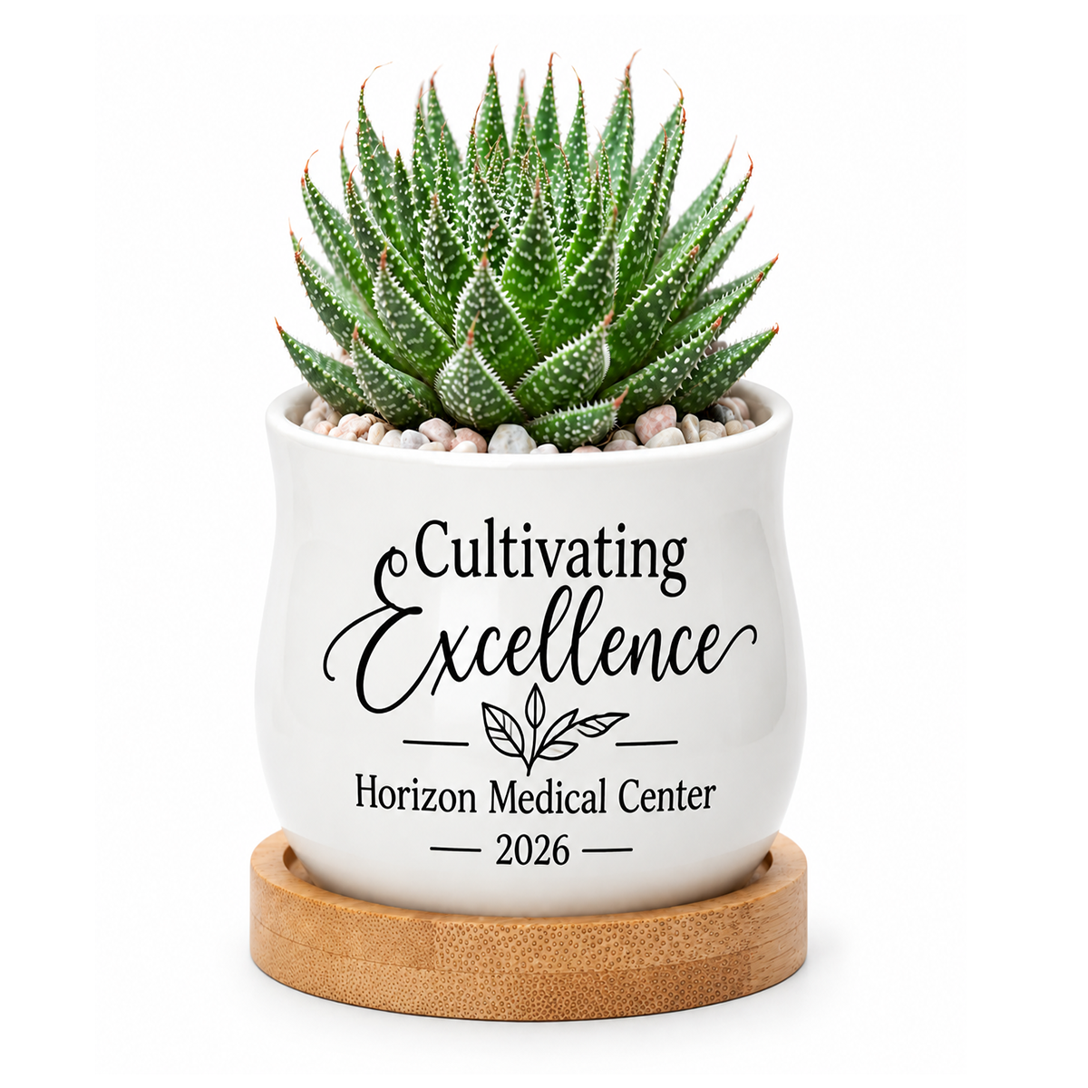 Personalized Succulent Pot for Corporate Favor - Cultivating Excellence