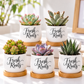 Pack of Succulent Pot - Fresh Roots
