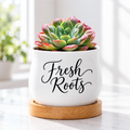Succulent Pot - Fresh Roots