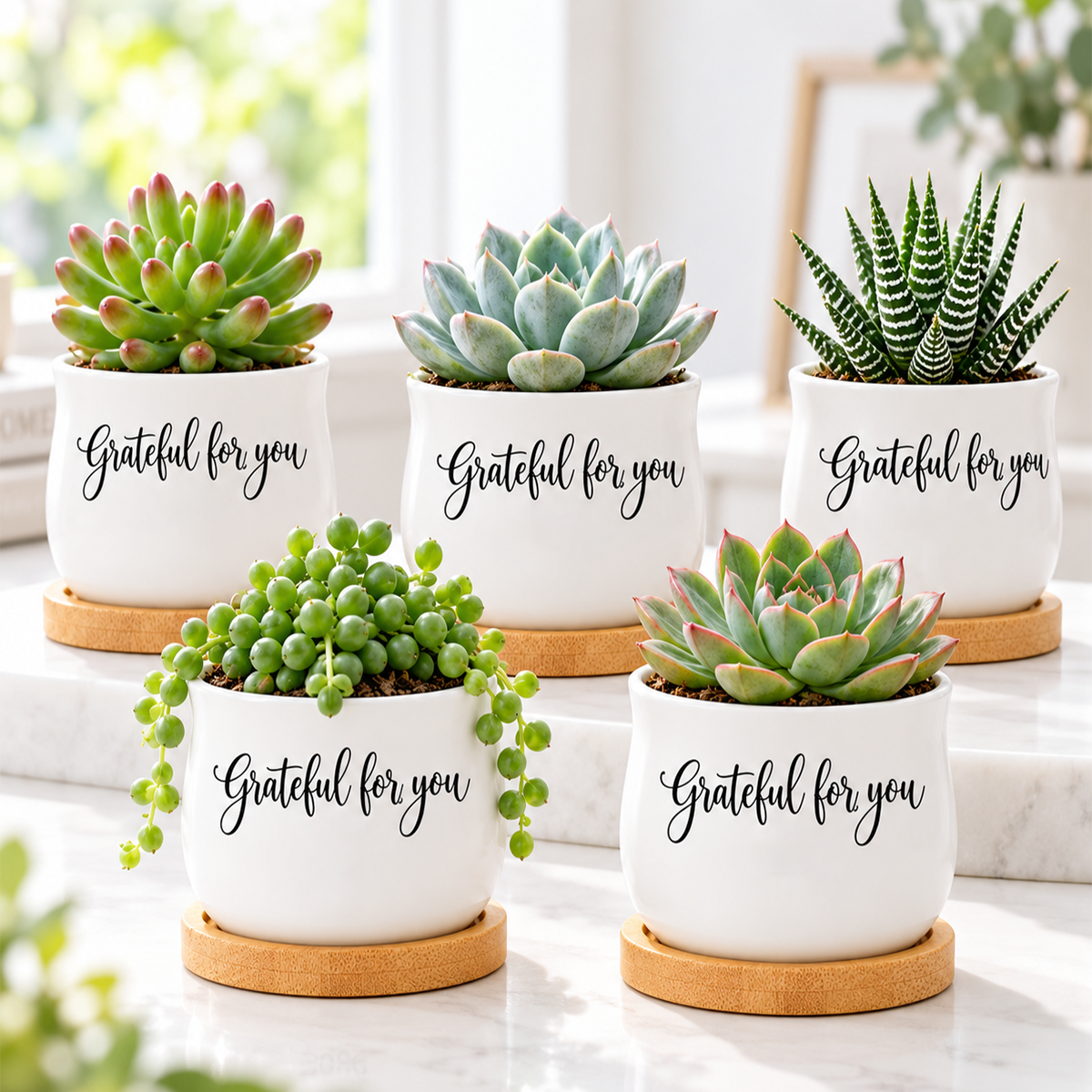 Pack of Succulent Pot - Grateful for you
