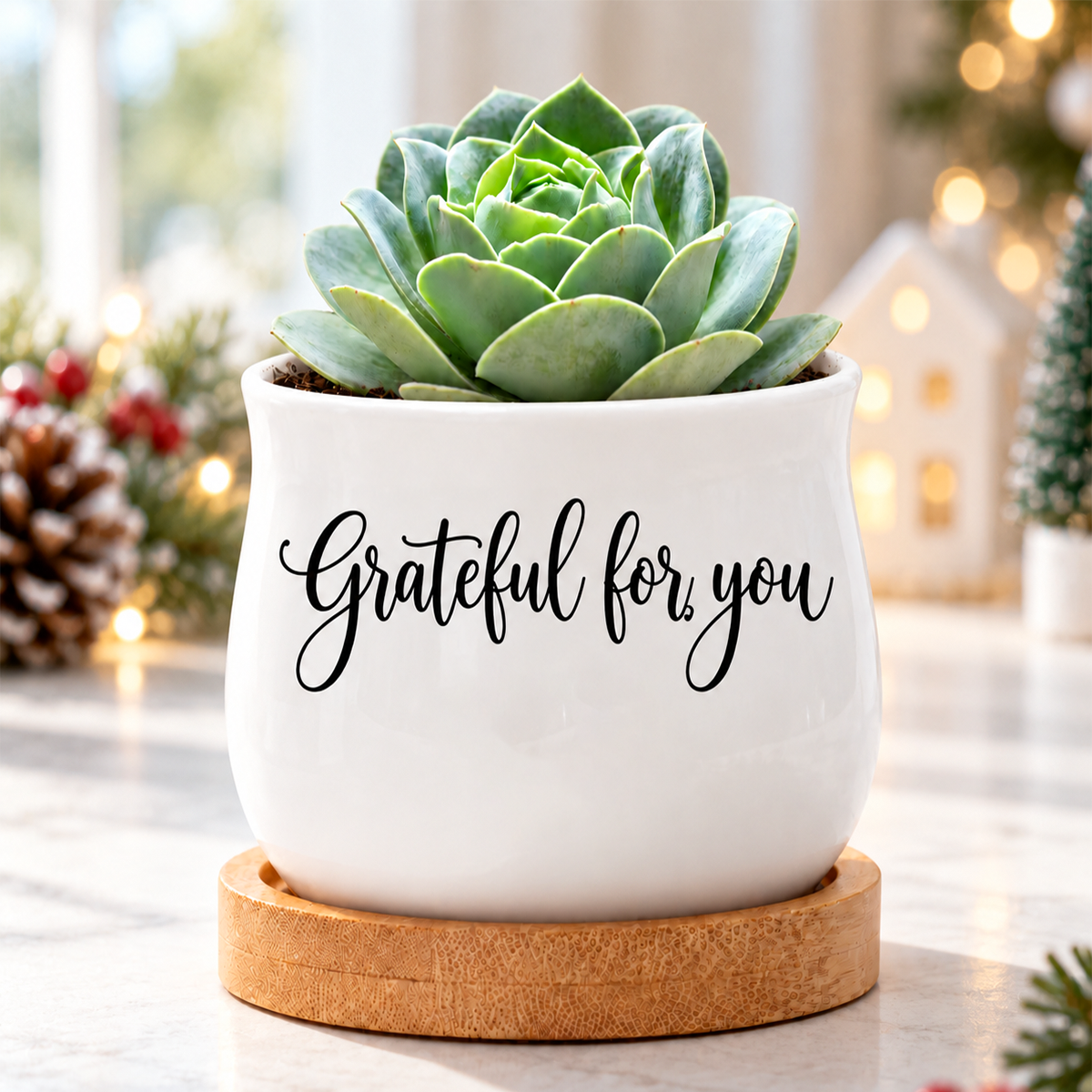 Succulent Pot - Grateful for you