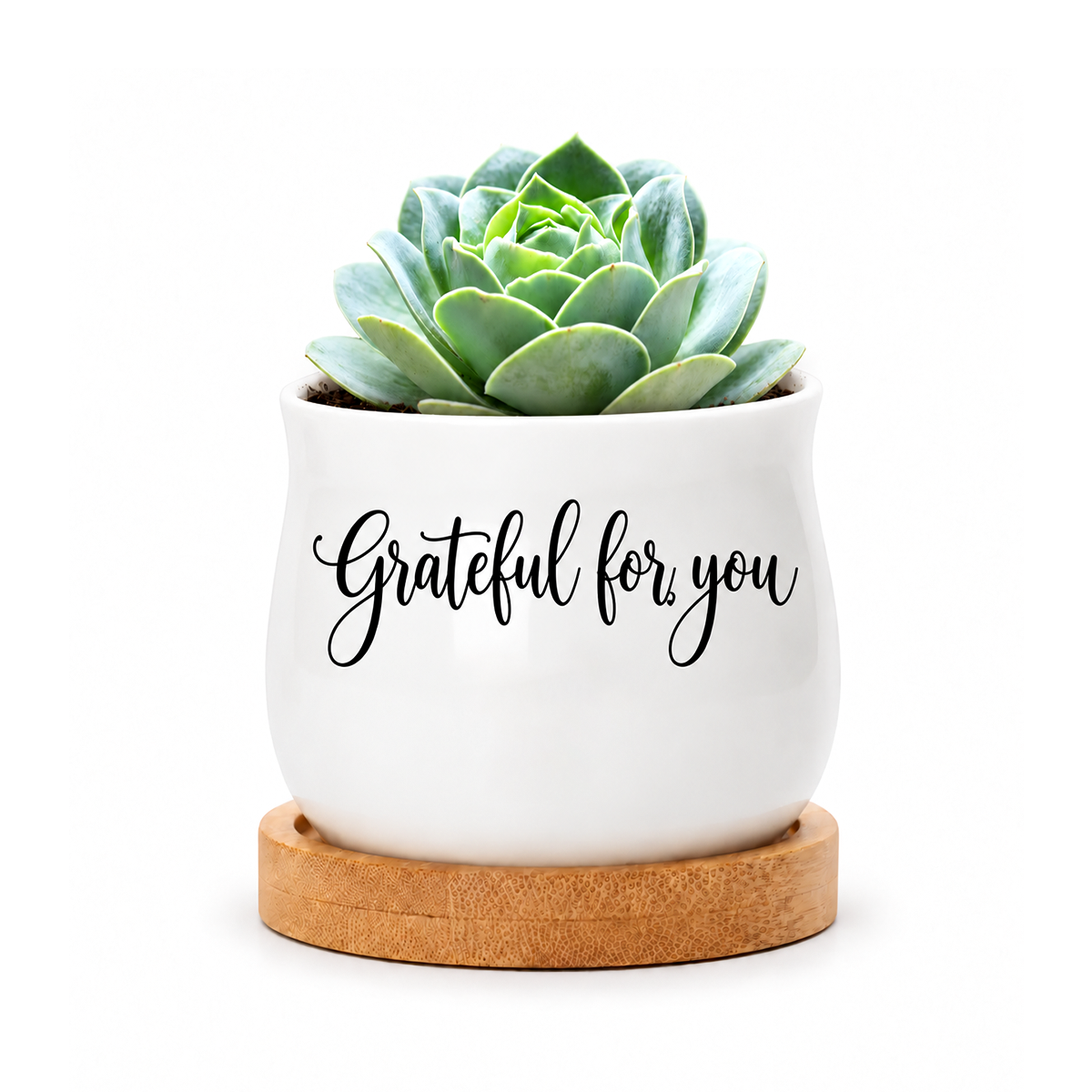 Succulent Pot - Grateful for you
