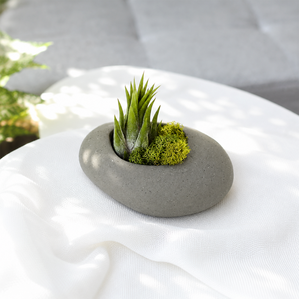 Assorted Tillandsia Air Plant with Gray Stone Ceramic Set