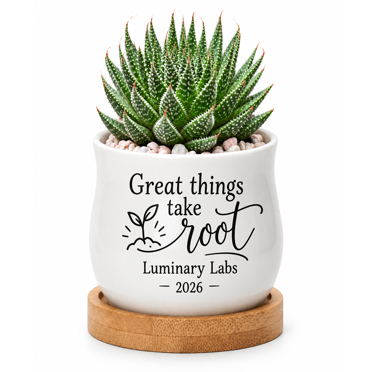 Personalized Succulent Pot for Corporate Favor - Great Things Take Root