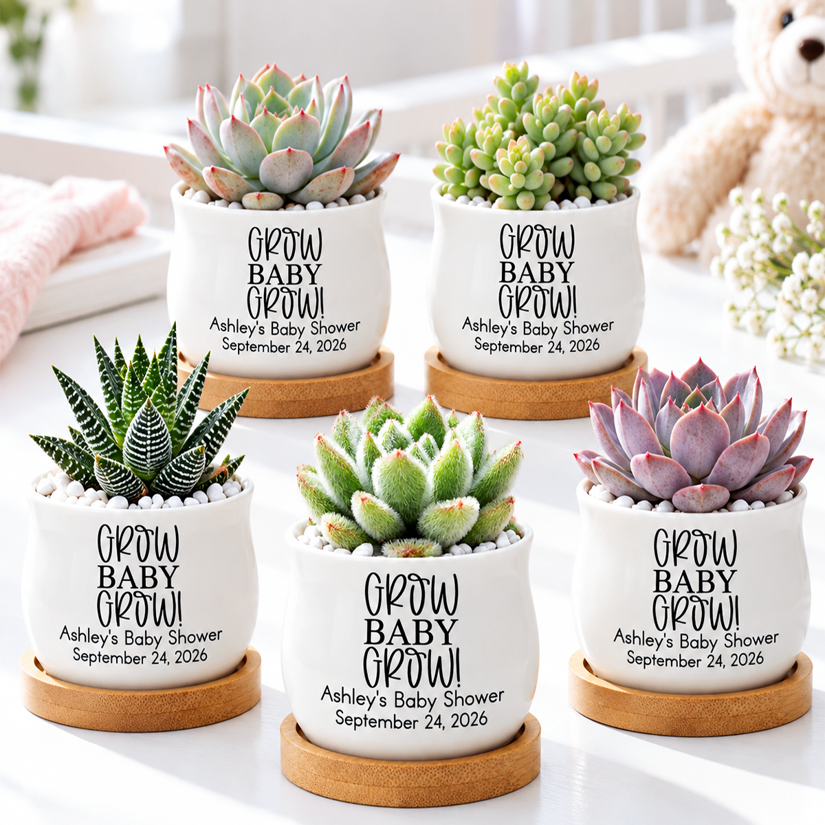 Pack of Personalized Succulent Pot for Baby Shower Favor - Grow Baby Grow