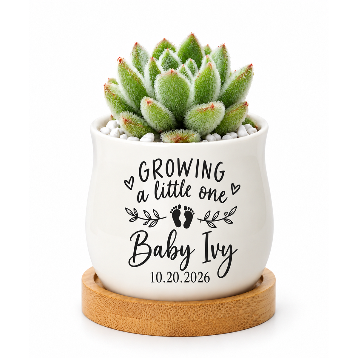 Personalized Succulent Pot for Baby Shower Favor - Growing A Little One