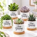 Pack of Succulent Pot - Keep Growing