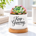 Succulent Pot - Keep Growing