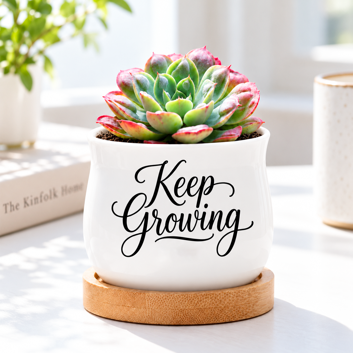 Succulent Pot - Keep Growing