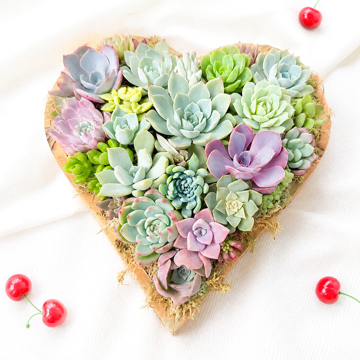 10" Heart Succulent Arrangement
