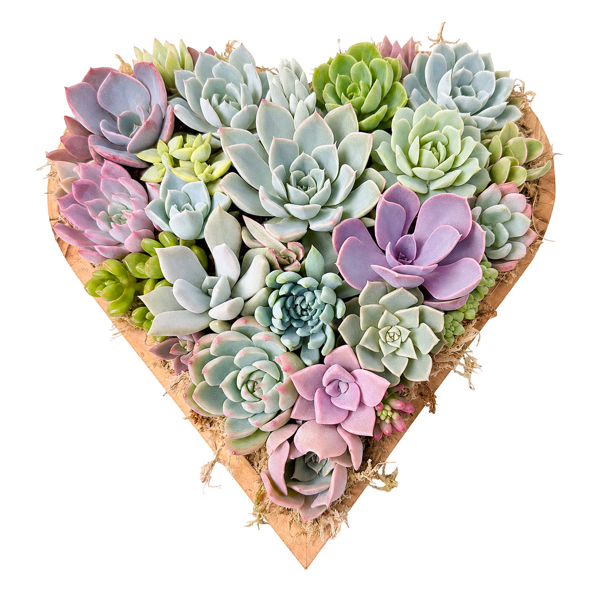 10" Heart Succulent Arrangement