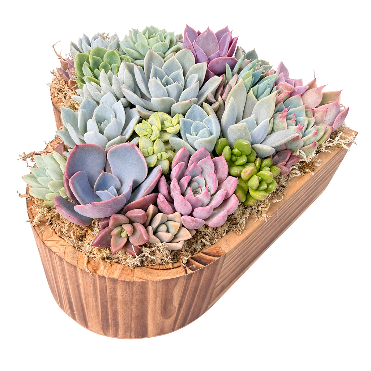 10" Heart Succulent Arrangement
