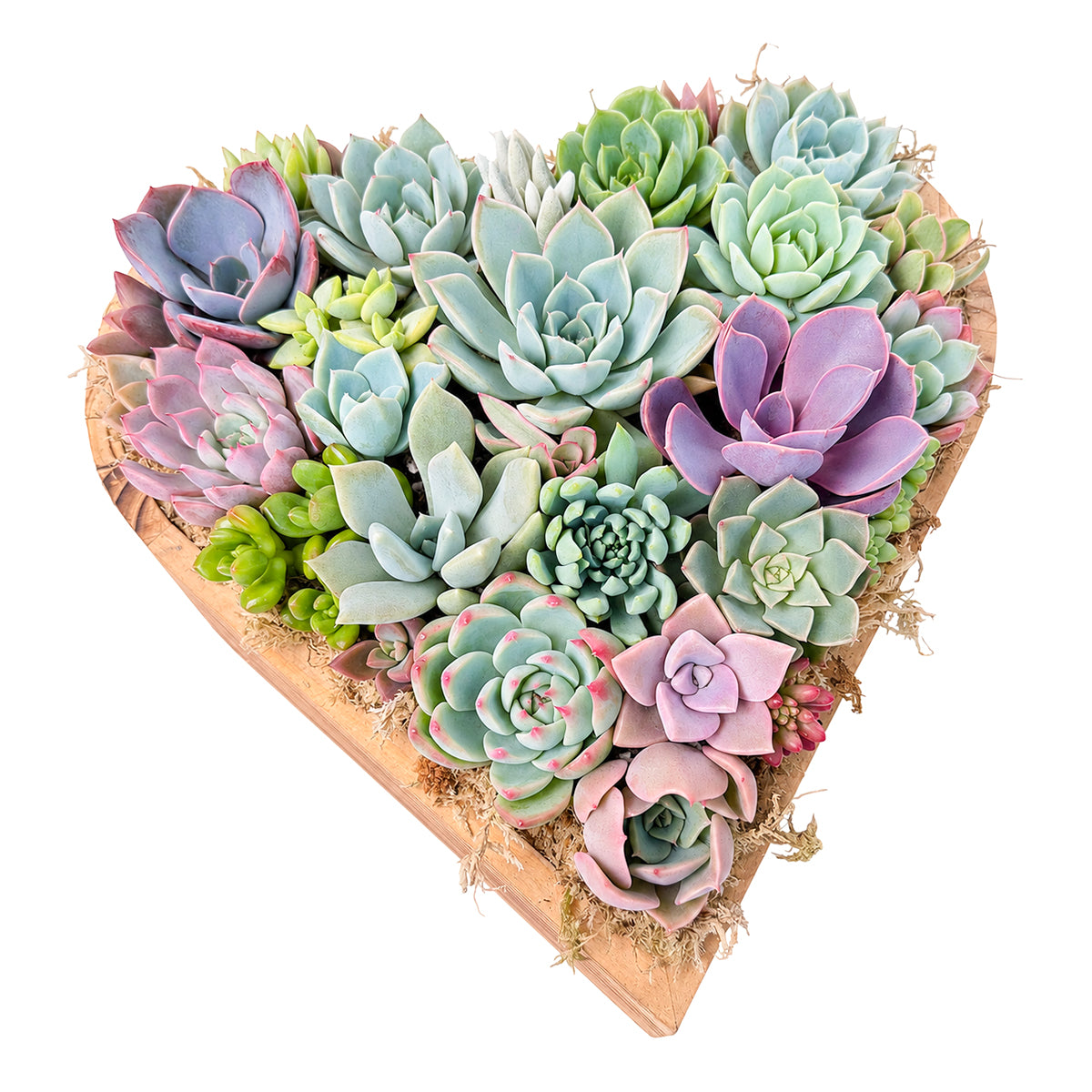 10" Heart Succulent Arrangement
