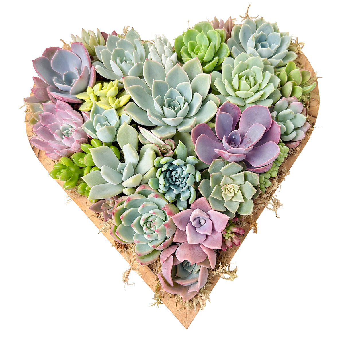 10" Heart Succulent Arrangement