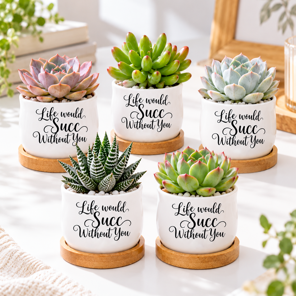 Pack of Succulent Pot - Life would Succ Without You