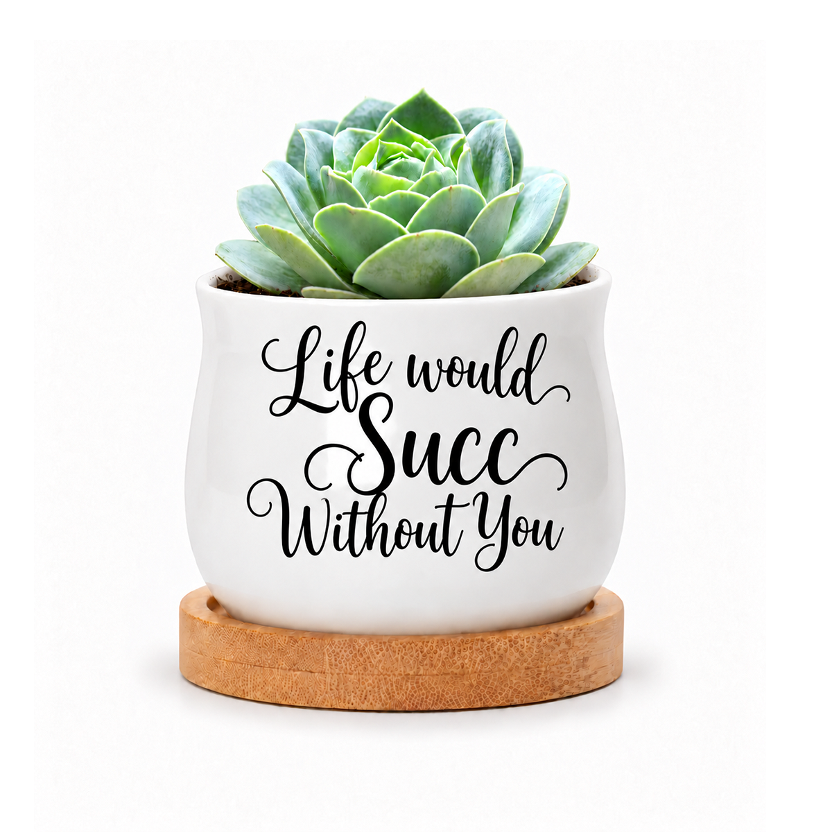 Succulent Pot - Life would Succ Without You