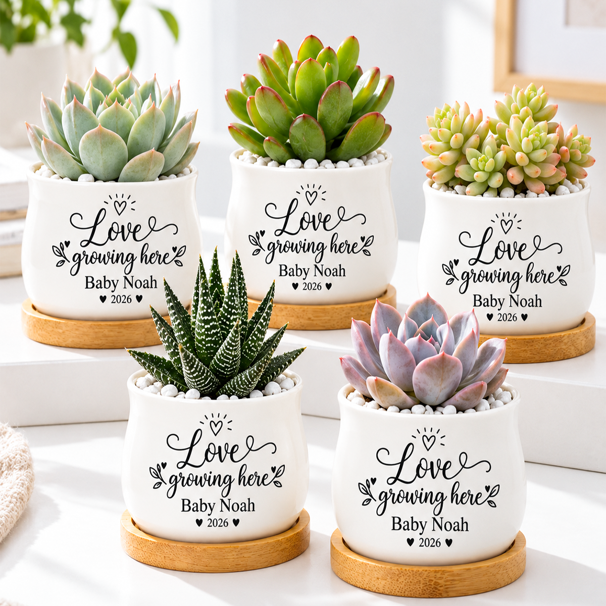 Pack of Personalized Succulent Pot for Baby Shower Favor - Love Growing Here