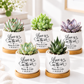 Pack of Personalized Succulent Pot for Wedding favor - Love Is In The Air