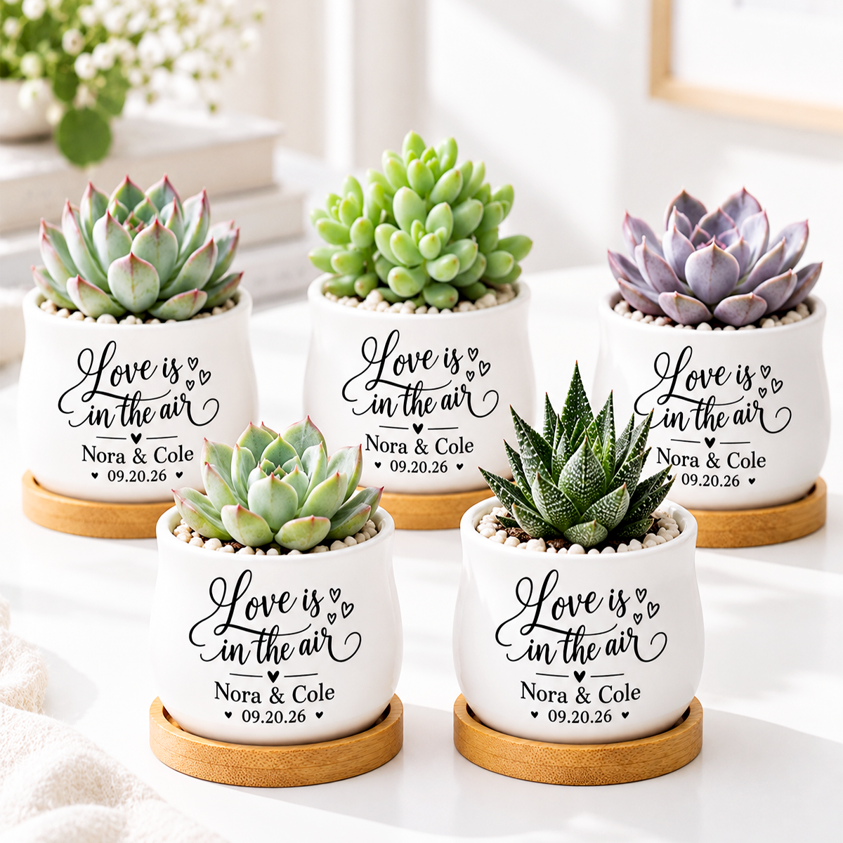 Pack of Personalized Succulent Pot for Wedding favor - Love Is In The Air