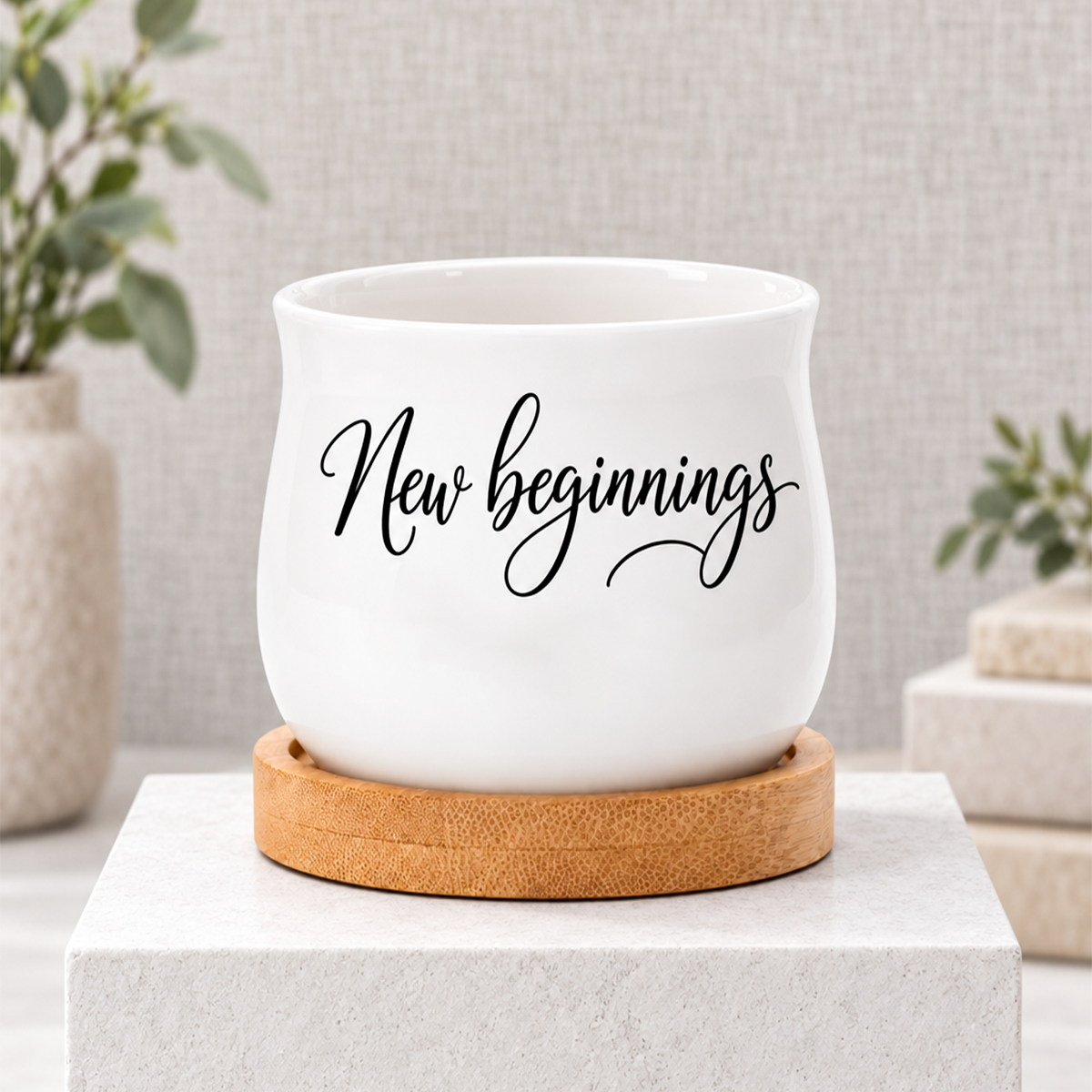 Succulent Pot - New beginnings