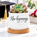 Succulent Pot - New beginnings