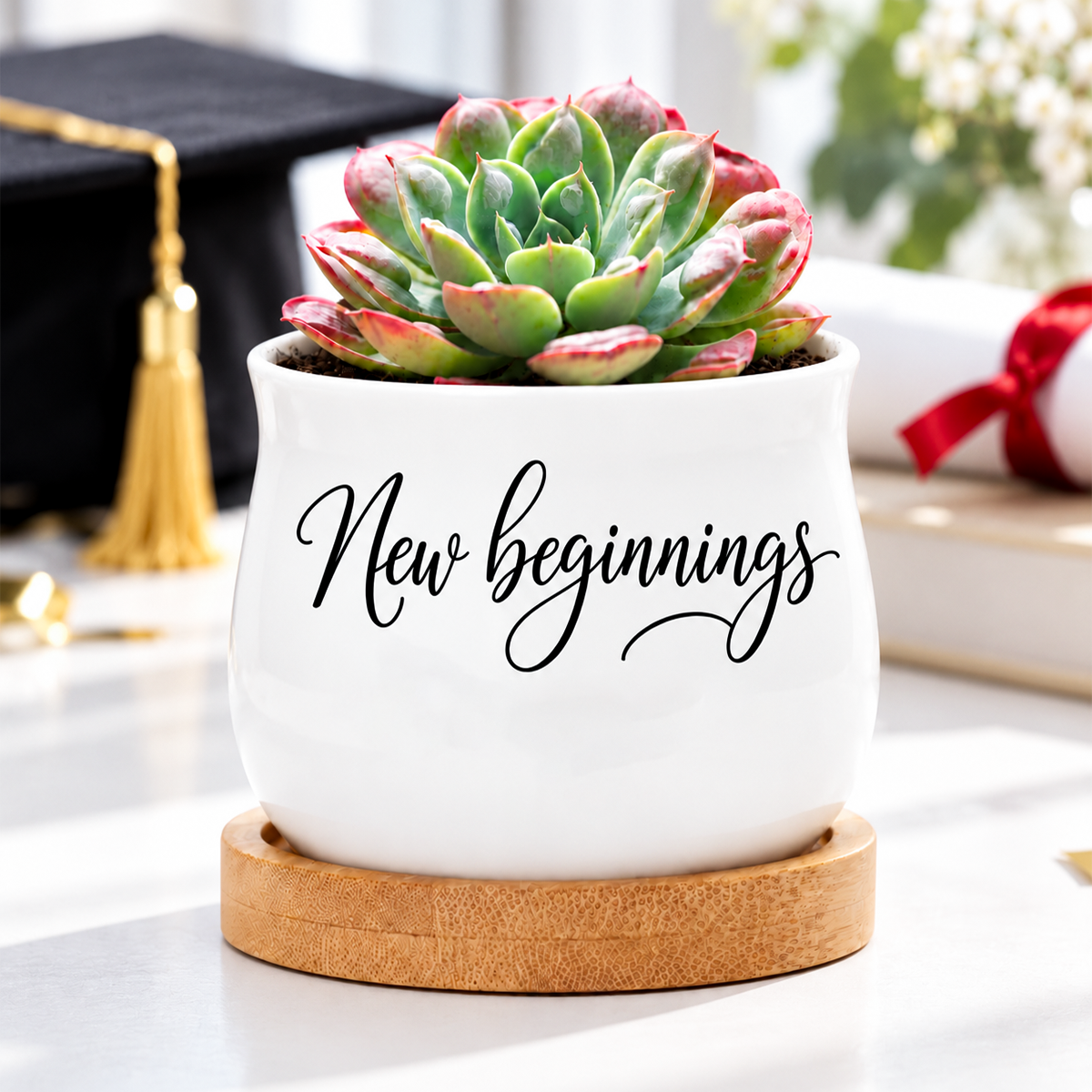 Succulent Pot - New beginnings