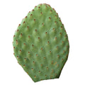 Opuntia 'Orange Chiffon' (4-6")
