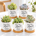 Pack of Personalized Succulent Pot for Wedding favor - Plant A Little Love