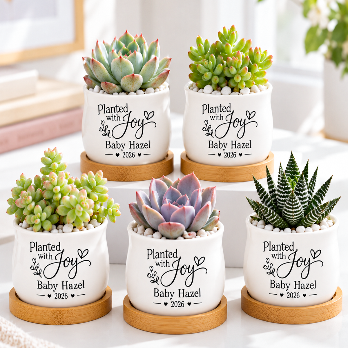 Pack of Personalized Succulent Pot for Baby Shower Favor - Planted With Joy