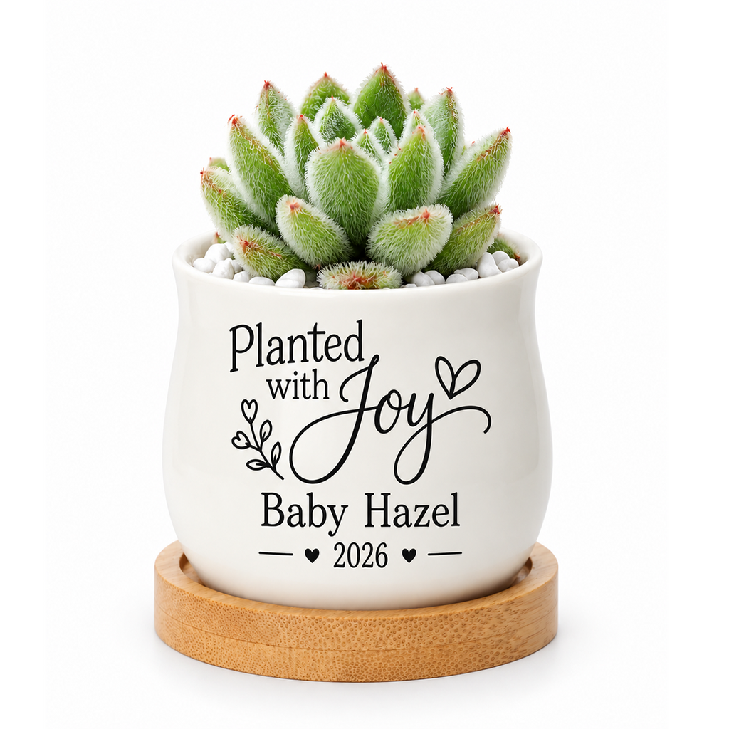 Personalized Succulent Pot for Baby Shower Favor - Planted With Joy