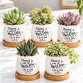 Pack of Personalized Succulent Pot for Wedding favor - Planted With Love
