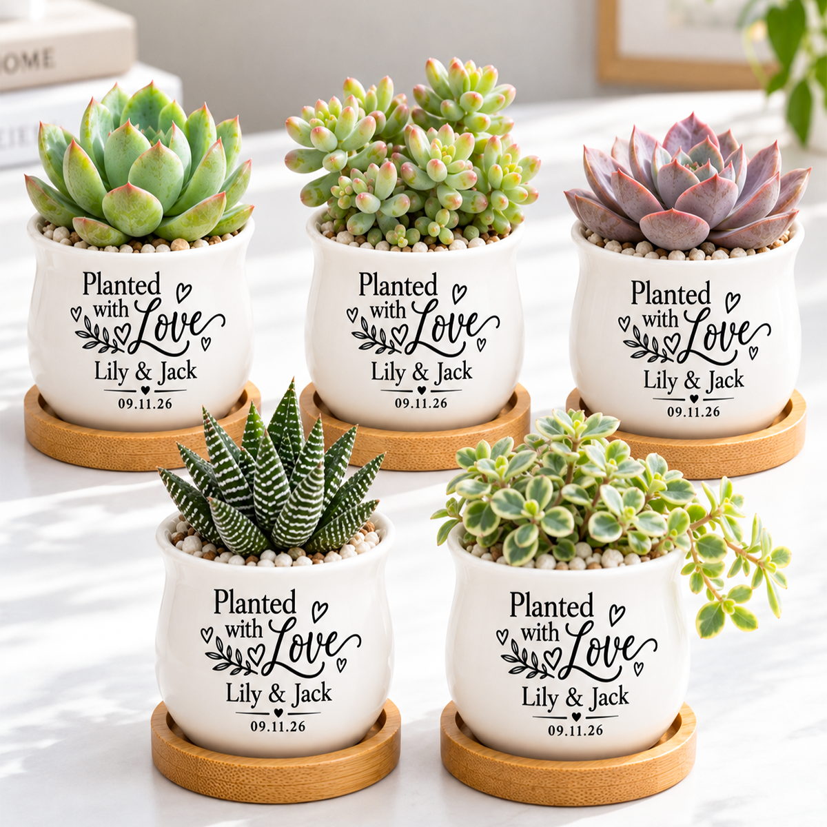 Pack of Personalized Succulent Pot for Wedding favor - Planted With Love