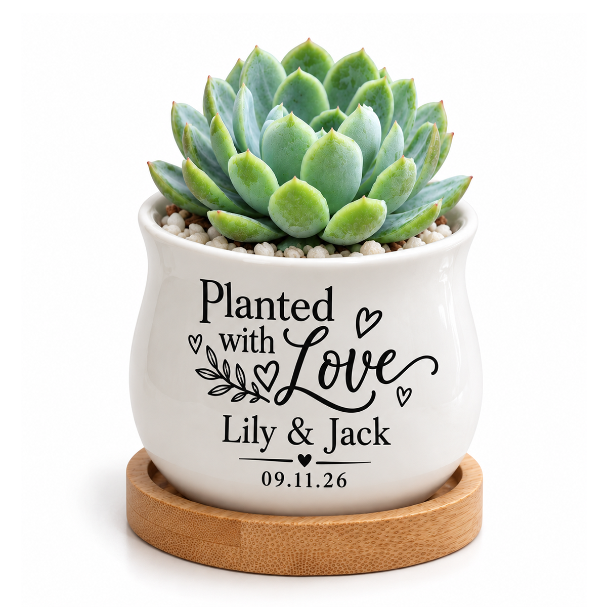 Personalized Succulent Pot for Wedding favor - Planted With Love