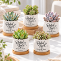 Pack of Personalized Succulent Pot for Wedding favor - Rooted In Love