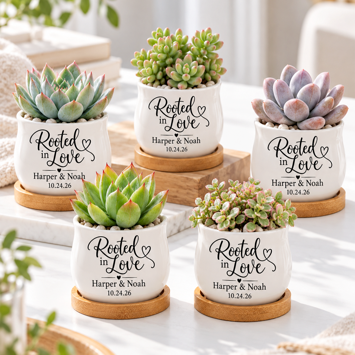 Pack of Personalized Succulent Pot for Wedding favor - Rooted In Love