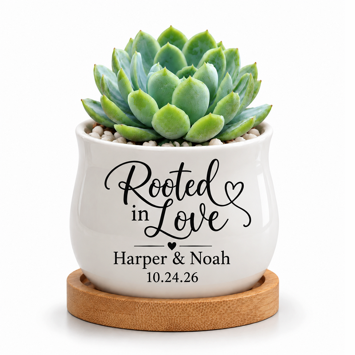 Personalized Succulent Pot for Wedding favor - Rooted In Love