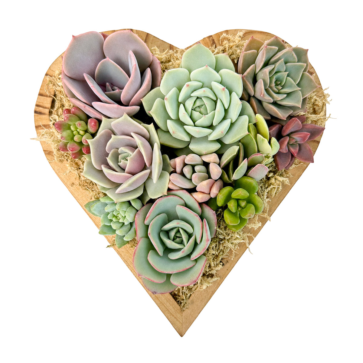 6.1" Heart Succulent Arrangement