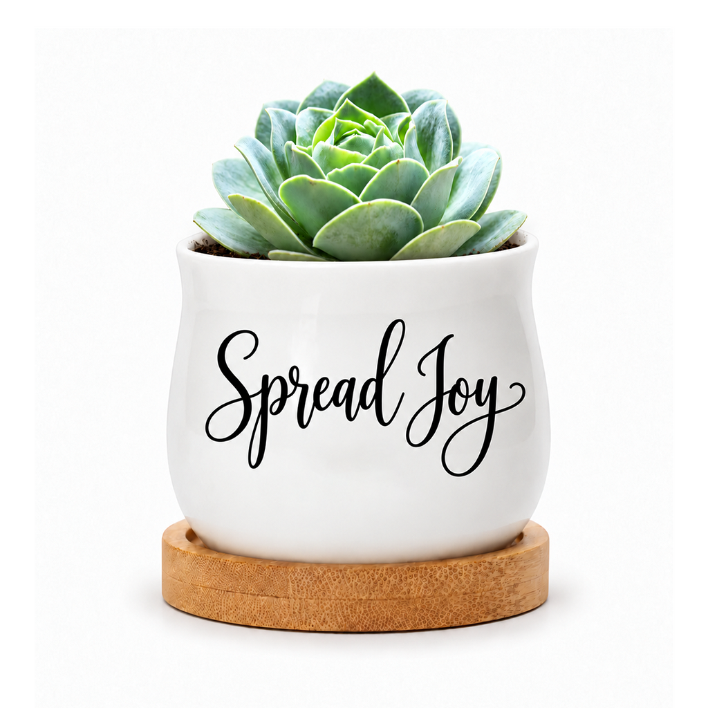 Succulent Pot - Spread Joy